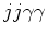 $jj\gamma \gamma $