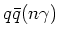 $q\bar{q}(n\gamma)$