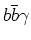 $b\bar{b}\gamma$