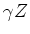 $\gamma Z$