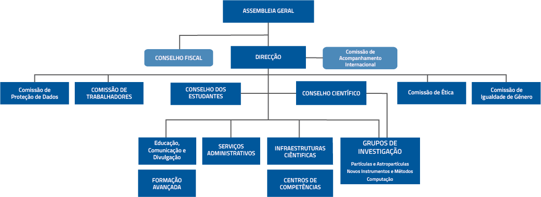 Organigrama